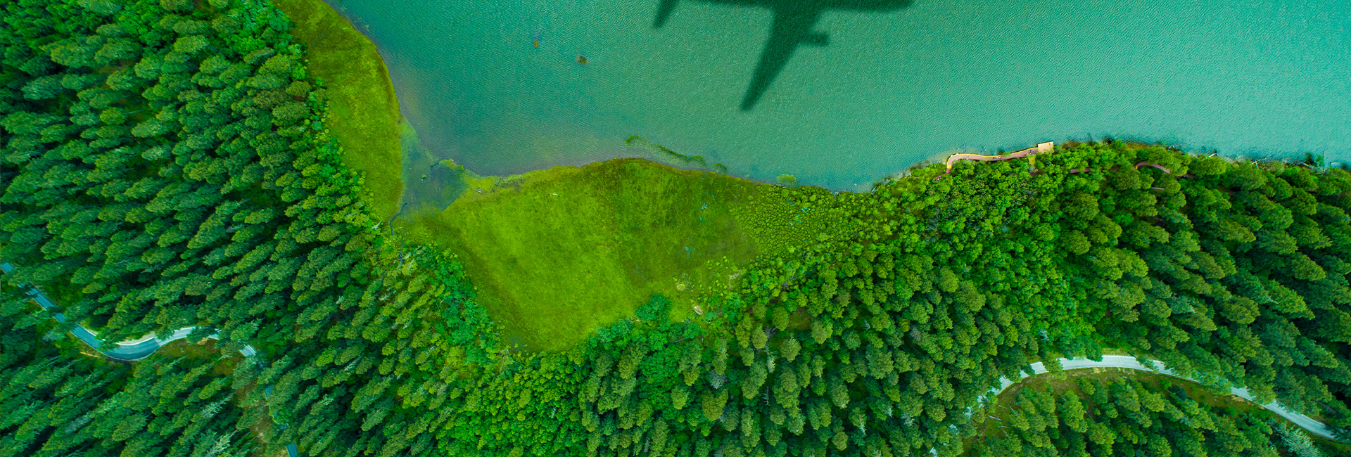 low-emission-transport-forest-lake