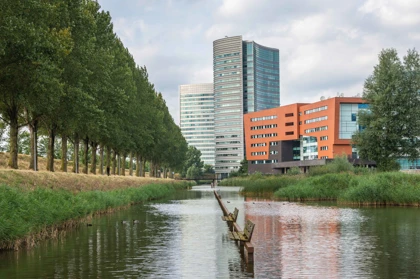 Modern office buildings and a tree-lined canal in Hoofddorp, Netherlands, with reflective water and greenery