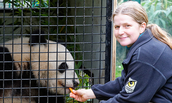zoo-transport_revised.jpg