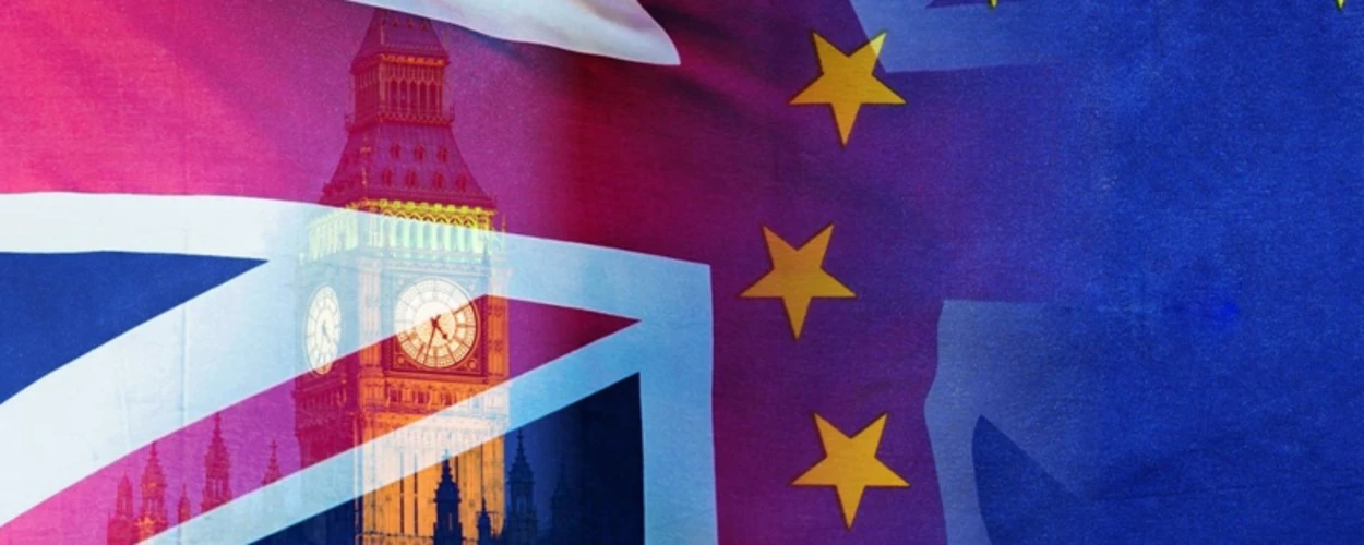 A flag and Westminster Palace