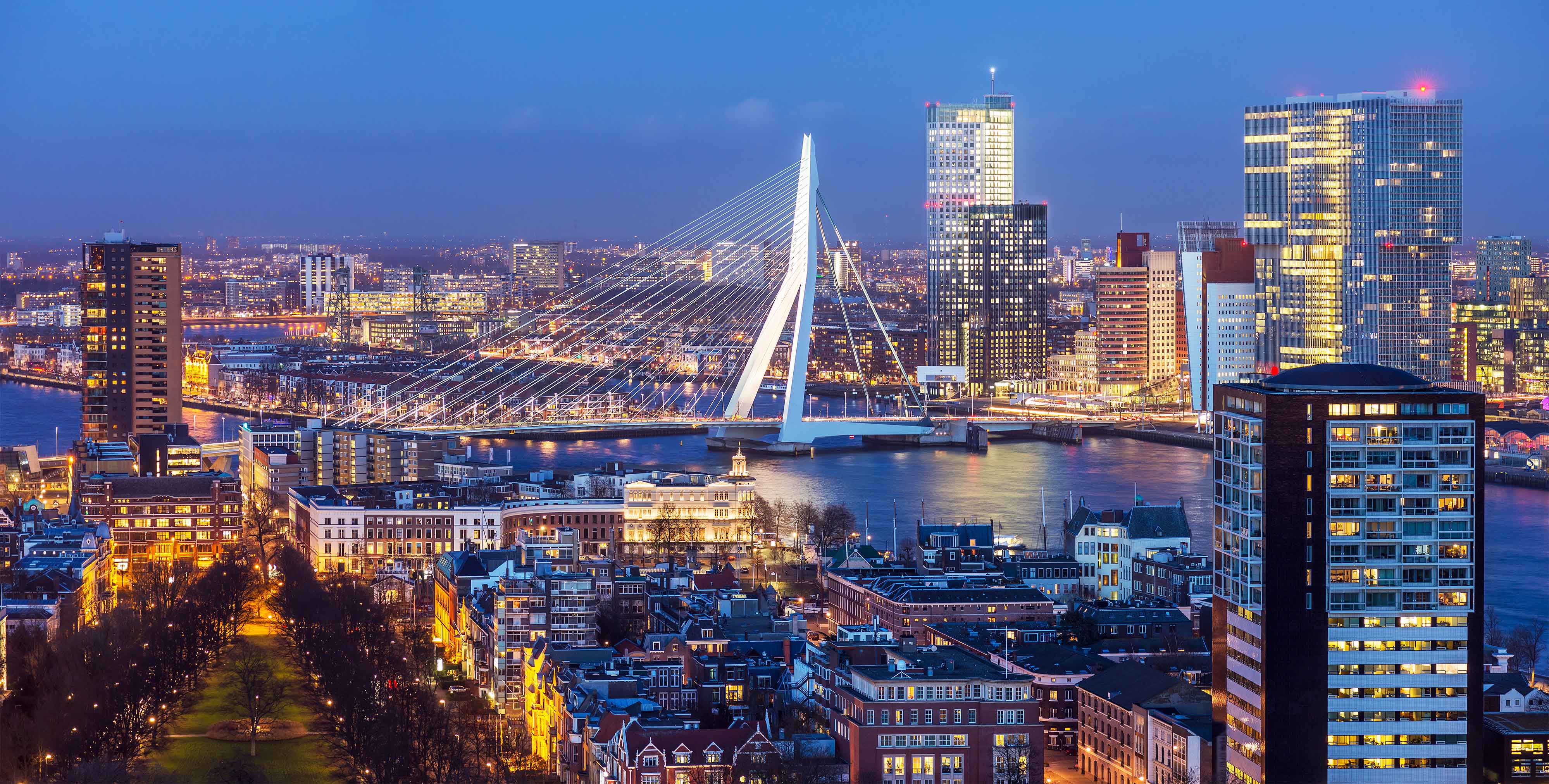 rotterdam-erasmus-bridge-night-skyline