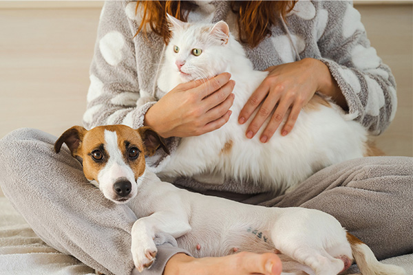 01-sgl_image-of-dog-and-cat.jpg